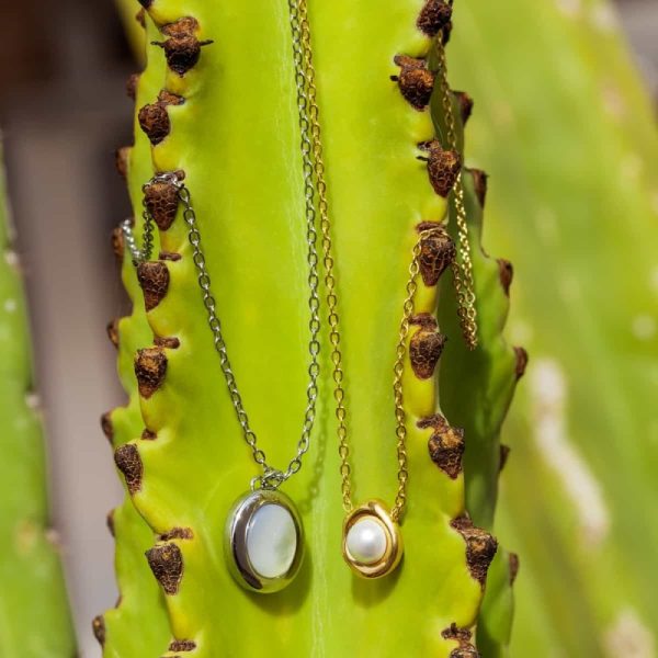 collar concha marina bco494 3